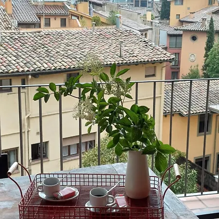 Feelhomevic. Atico Con Terraza En Centro Historico Appartement